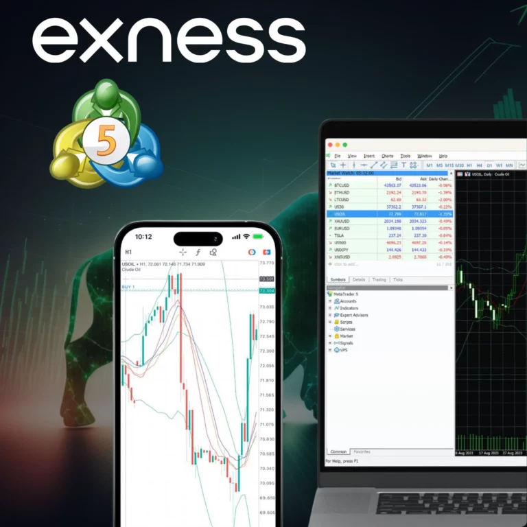 Exness MT5 ウェブターミナル
