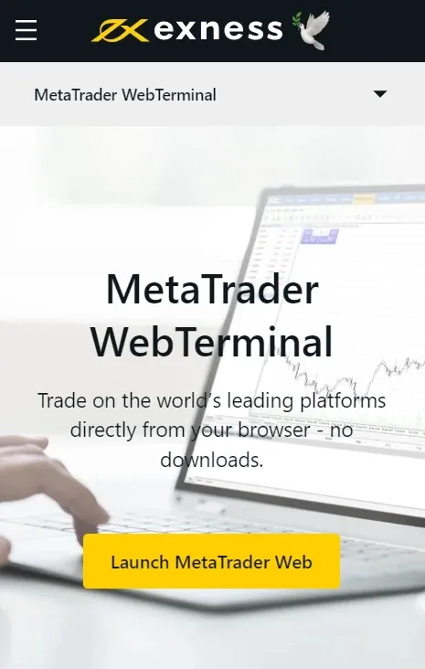 Exness MetaTrader WebTerminal.